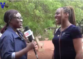 Vox pop on current affairs