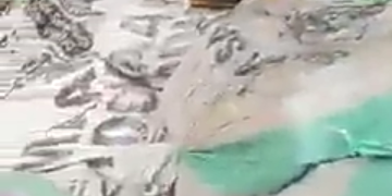 Shocking: Huge damaged naira notes found in Benue