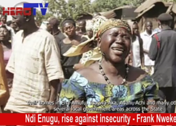 Insecurity: Frank Nweke blames insecurity in Enugu on PDP failure