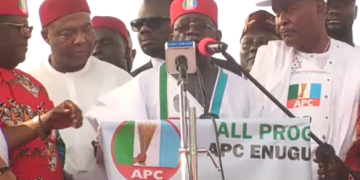 Tinubu to ndi Igbo, your hope is in APC