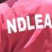 Election: NDLEA Enugu Cautions Against Drug Abuse
