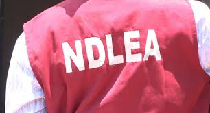Election: NDLEA Enugu Cautions Against Drug Abuse