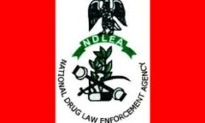 WADA: NDLEA Enugu leads campaign ahead of general election