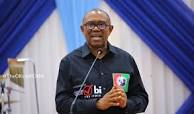 Election: Court will return Peter Obi as President – Barr Awforkansi
