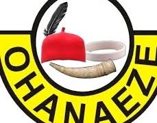 Ohaneze Youth Condemn Incompetent Candidates in Enugu Labour Party, endorse Uche Nnaji
