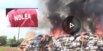 NDLEA Enugu Destroys over 23. 721kg Illicit Drugs as Fight Against Drug Abuse Continues