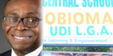 How Ike Chioke’s Educational Strides is Crippling Private Schools