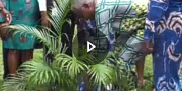 ESUT SUG Begins Tree Planting With Faculty to Celebrate 2023 World Environmental Day