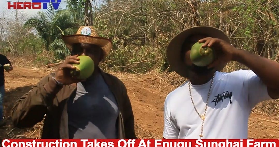 VIDEO: Enugu Govt Confirms Tribu Ltd Commits N4.5 Billion Investment, Sunghai Farms Takes-off